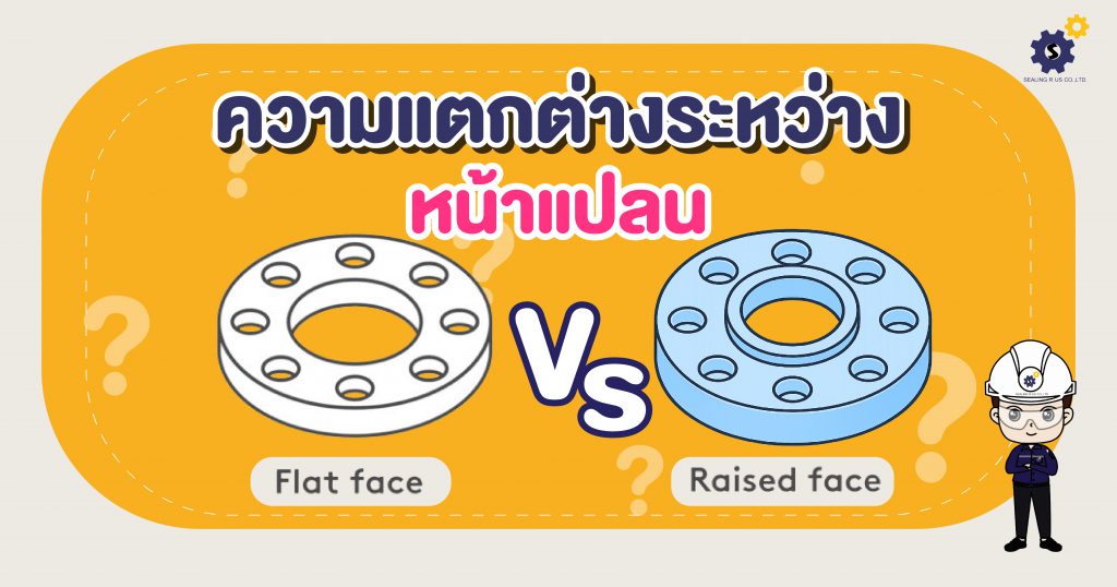 ความแตกต่างระหว่างหน้าแปลน Raised Face vs Flat Face Flange