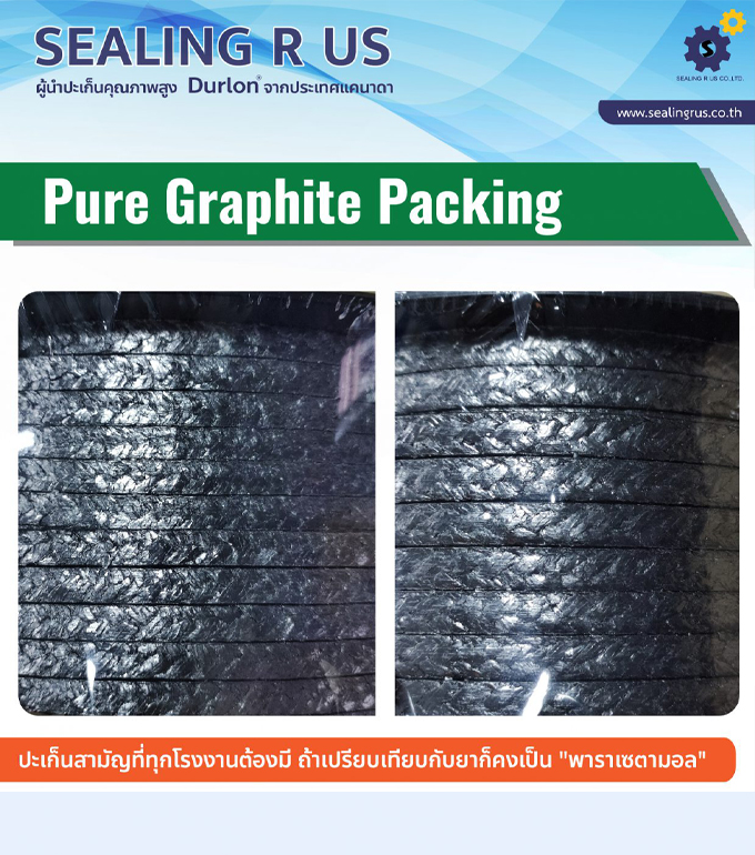 Pure Graphite Packing