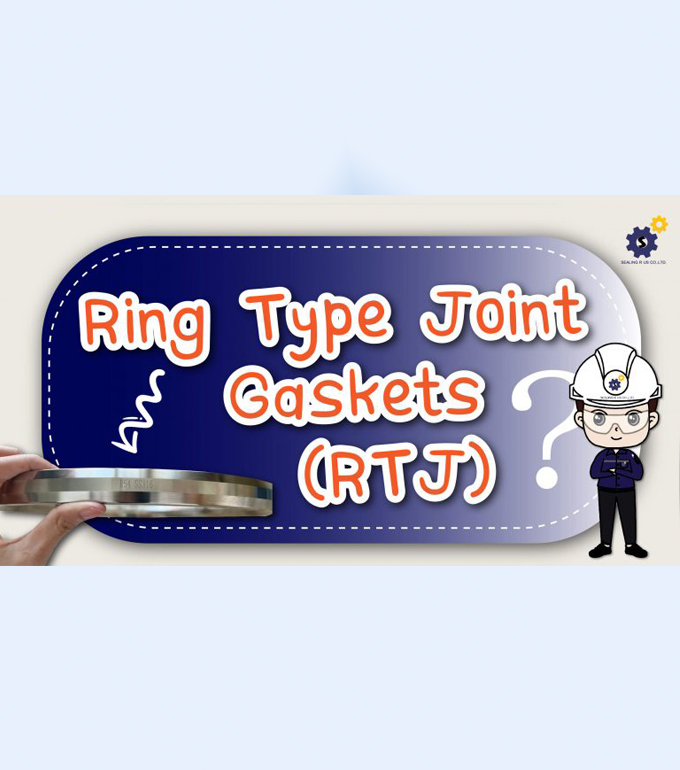 Ring Type Joint Gaskets (RTJ)